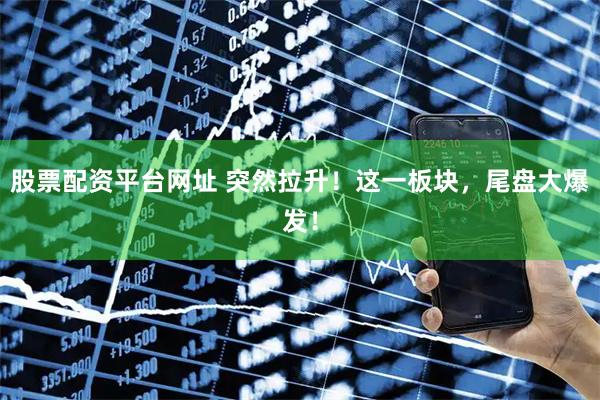 股票配资平台网址 突然拉升！这一板块，尾盘大爆发！